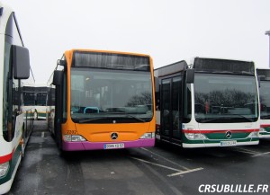 Photo 01.JPG