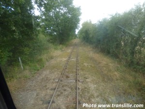 Photo 18.jpg