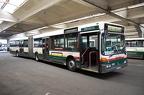 Mercedes O 405 GN