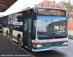 citaro59 129083